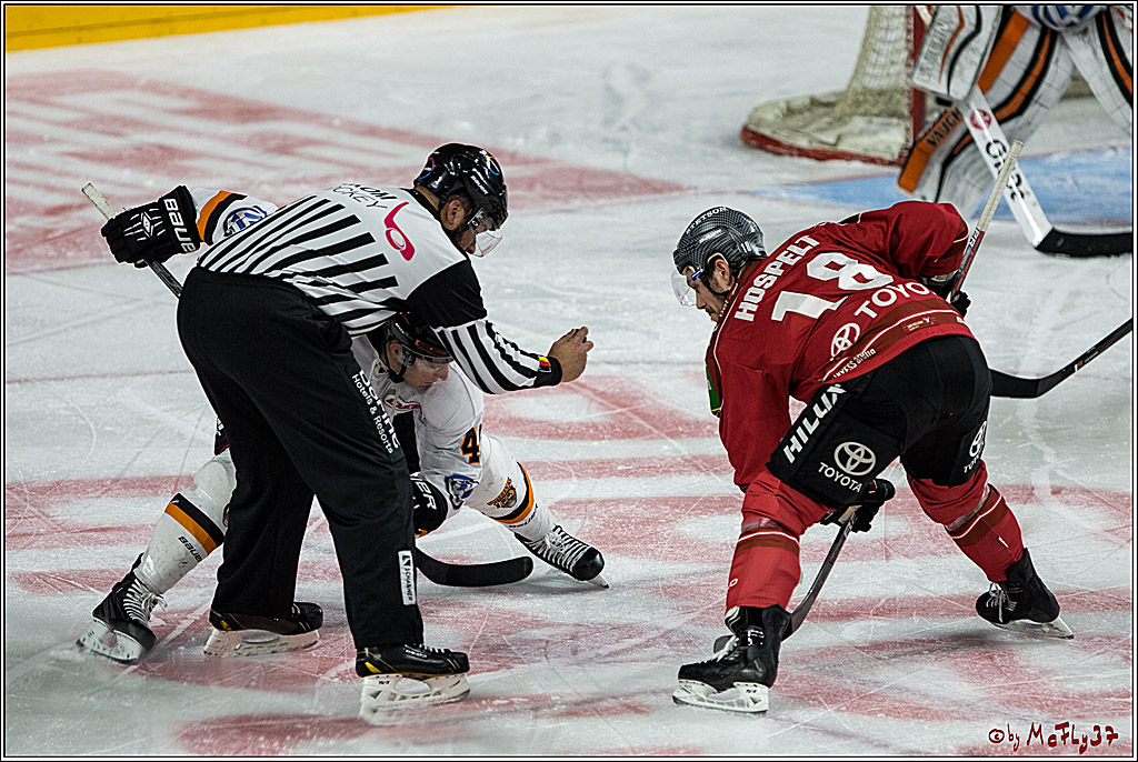 DEL, Koelner Haie - Grizzlys Wolfsburg, 17.03.2017